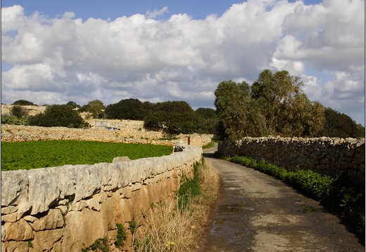 Qrendi #11 (2756 visites) Qrendi #11