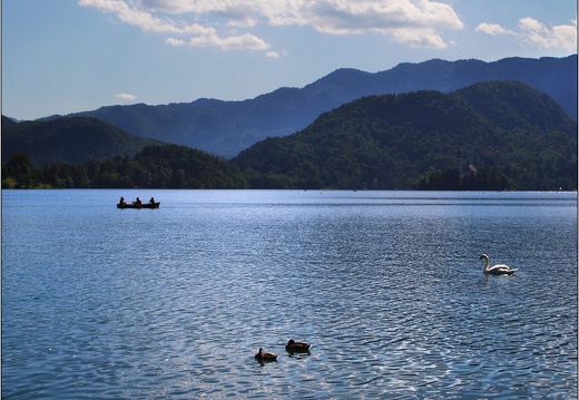 Bled #05 (1435 visits) Bled #05
