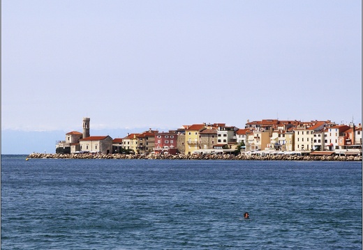 Piran #01 (1349 visites) Piran #01