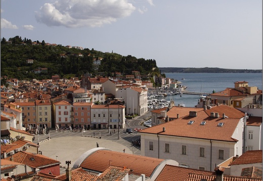 Piran, place Tarantini #09 (1652 visits) Piran, place Tarantini #09