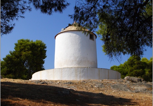Ermioni, pinède #07 (1309 visites) Ermioni, pinède #07