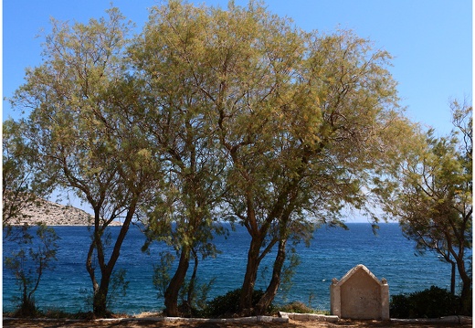 Daskaliou #07 (518 visits) Daskaliou #07