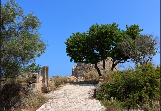 Assos #13 (686 visites) Assos #13
