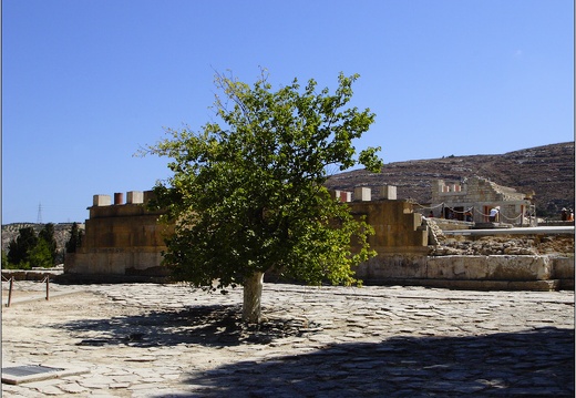 Cnossos #01 (2493 visites) Cnossos #01