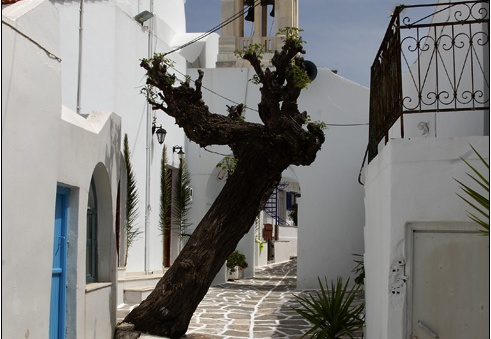 Marpissa #01 (4120 visites, score 6.64) Marpissa #01