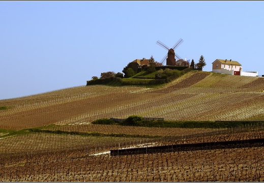 Marne #01 (2763 visites) Marne #01