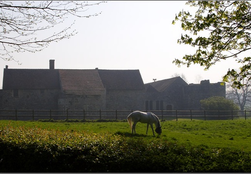 Nesles Château (Marne) #01 (1606 visits) Nesles Château (Marne) #01