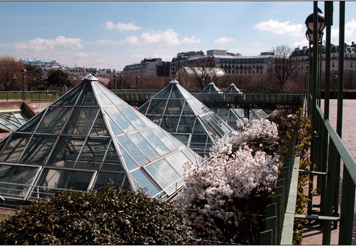 Paris 04-2005 #02 (1685 visites) Paris 04-2005 #02