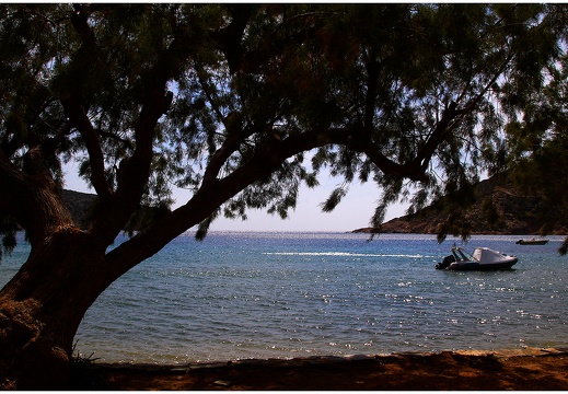 Arbre, Grèce #08 (3615 visits) Arbre, Grèce #08