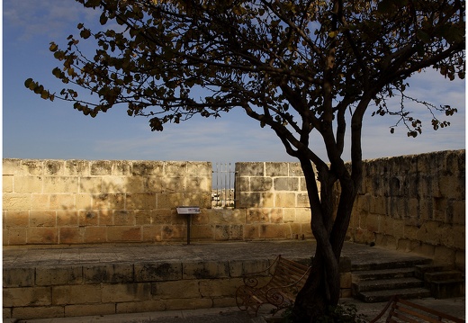 Arbre, Grèce #09 (3414 visits) Arbre, Grèce #09