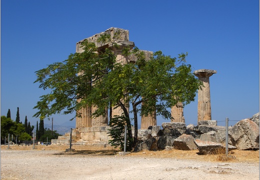 Arbre, Grèce #11 (3304 visits) Arbre, Grèce #11