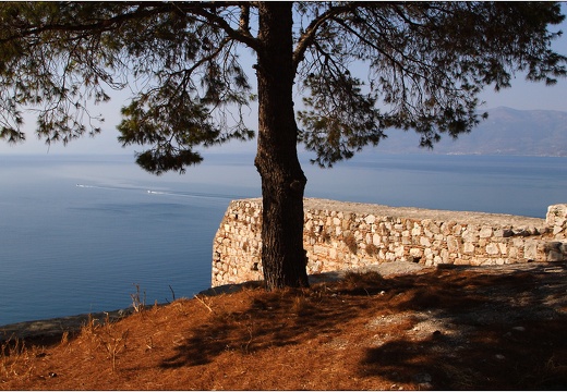 Arbre, Grèce #14 (3203 visits) Arbre, Grèce #14