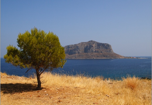 Arbre, Grèce #15 (2636 visits) Arbre, Grèce #15