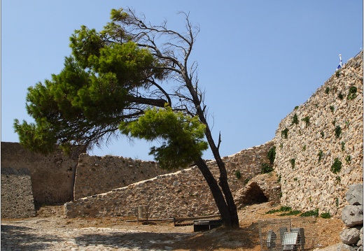 Arbre, Grèce #17 (3016 visits) Arbre, Grèce #17