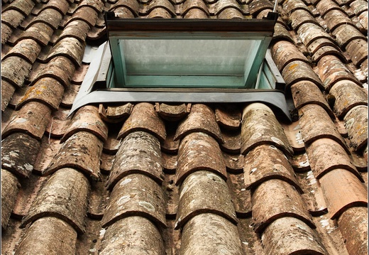 Velux (6986 visits) Velux