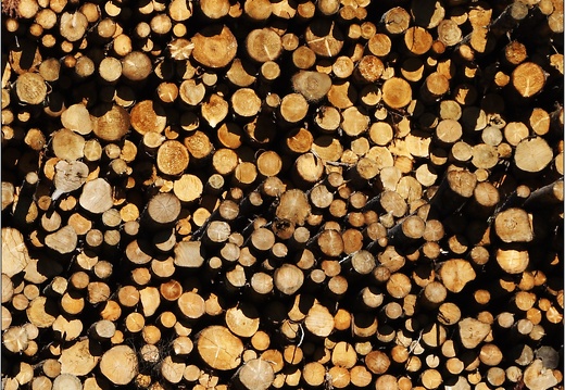 Mur de bois (8136 visits) Mur de bois