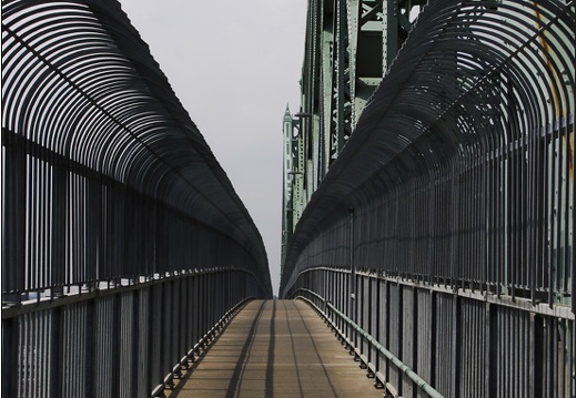 Cage à humains