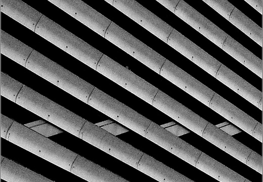 Lignes (1651 visites) Lignes