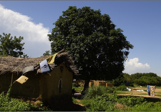 Bamako, île sur le Niger #08 (3249 visites) Bamako, île sur le Niger #08