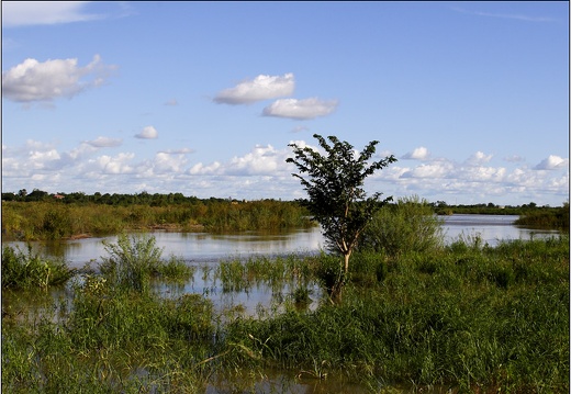 Bamako, île sur le Niger #13 (3237 visites) Bamako, île sur le Niger #13