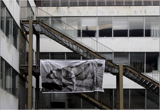 Brest, Faculté #03 (4594 visites) Brest, Faculté #03