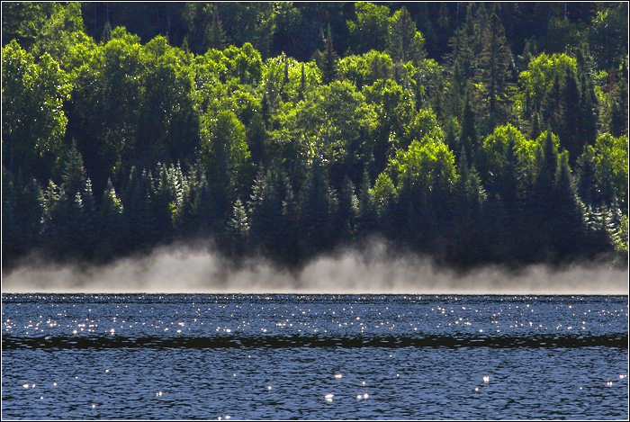 Saint Maurice, lac Tousignant #34