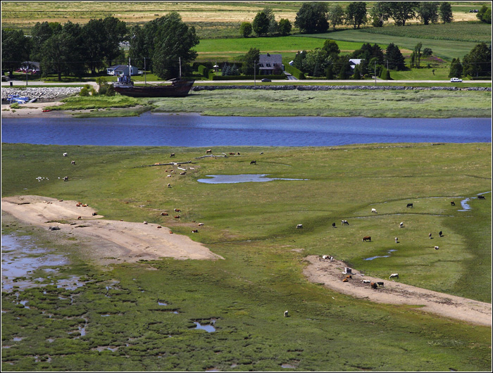 Baie-Saint-Paul #03