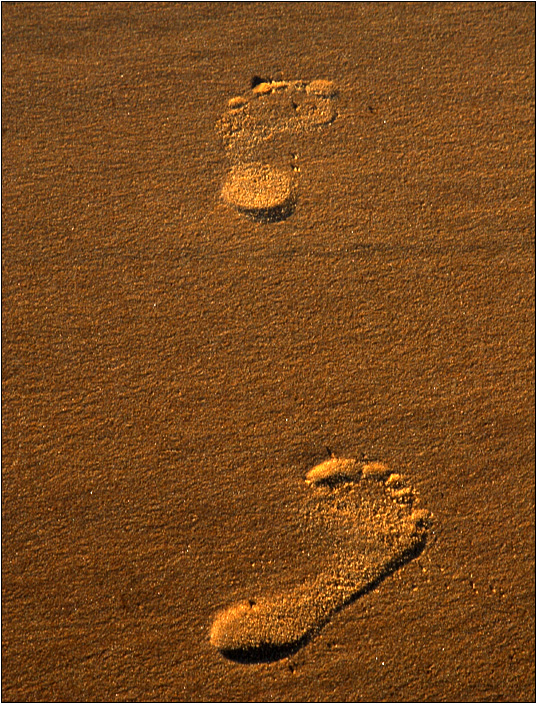 Traces #02 (10708 visites) Traces #02