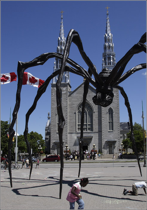 Cathédrale Notre dame #02