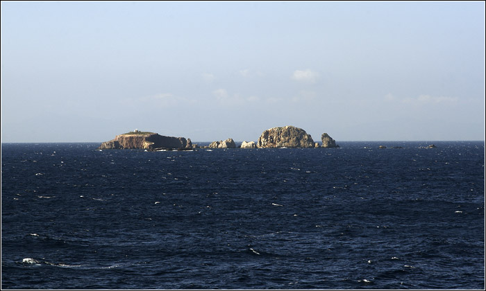 Sur le ferry #37 (13555 visites) Sur le ferry #37
