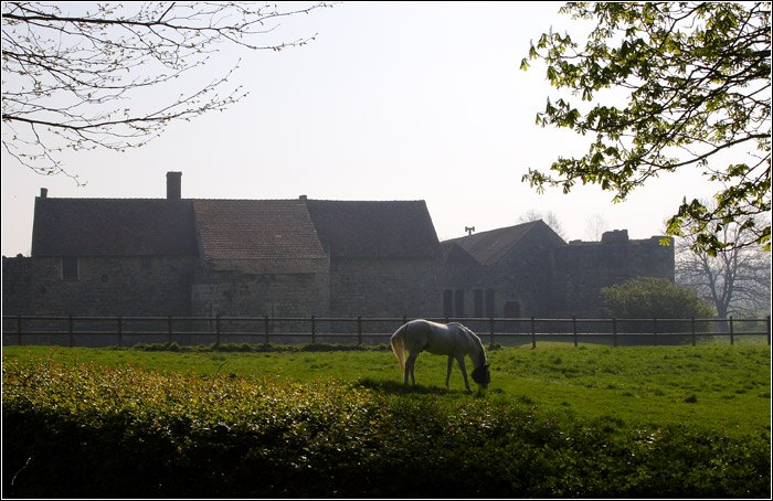 Nesles Château (Marne) #01