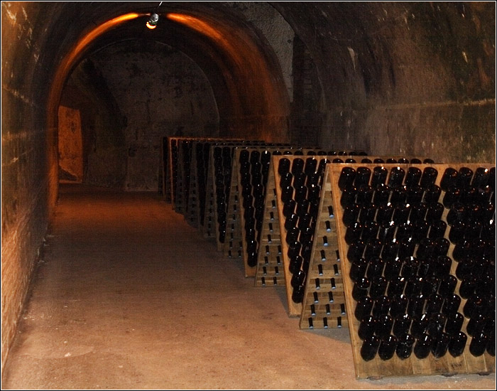 Caves Taittinger #02 (12421 visites) Caves Taittinger #02