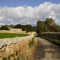 Qrendi #11 (10956 visites) Qrendi #11