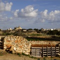 Qrendi #12 (11521 visites) Qrendi #12
